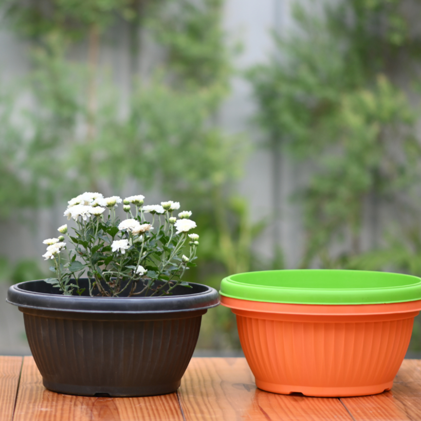 Plastic Bello Bowl 30 Pot/ Planter- Set of 4