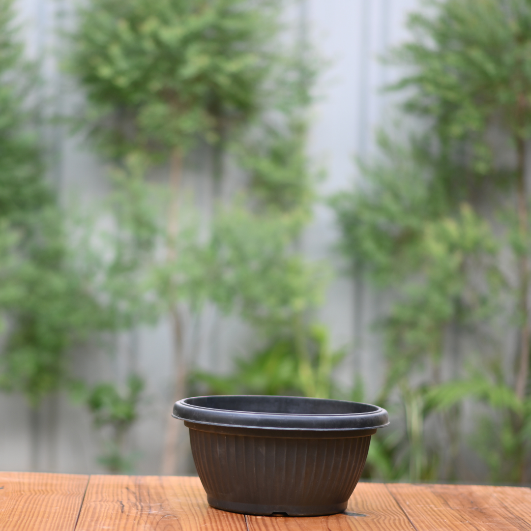 Plastic Bello Bowl 30 Pot/ Planter- Set of 4