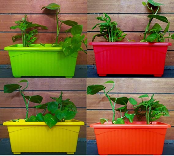 Vgreen Garden Multicolor Window Planter (Set of 4)