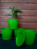 Vgreen Garden Store Self Watering Table Top Planter (Multicolor, Set of 4)