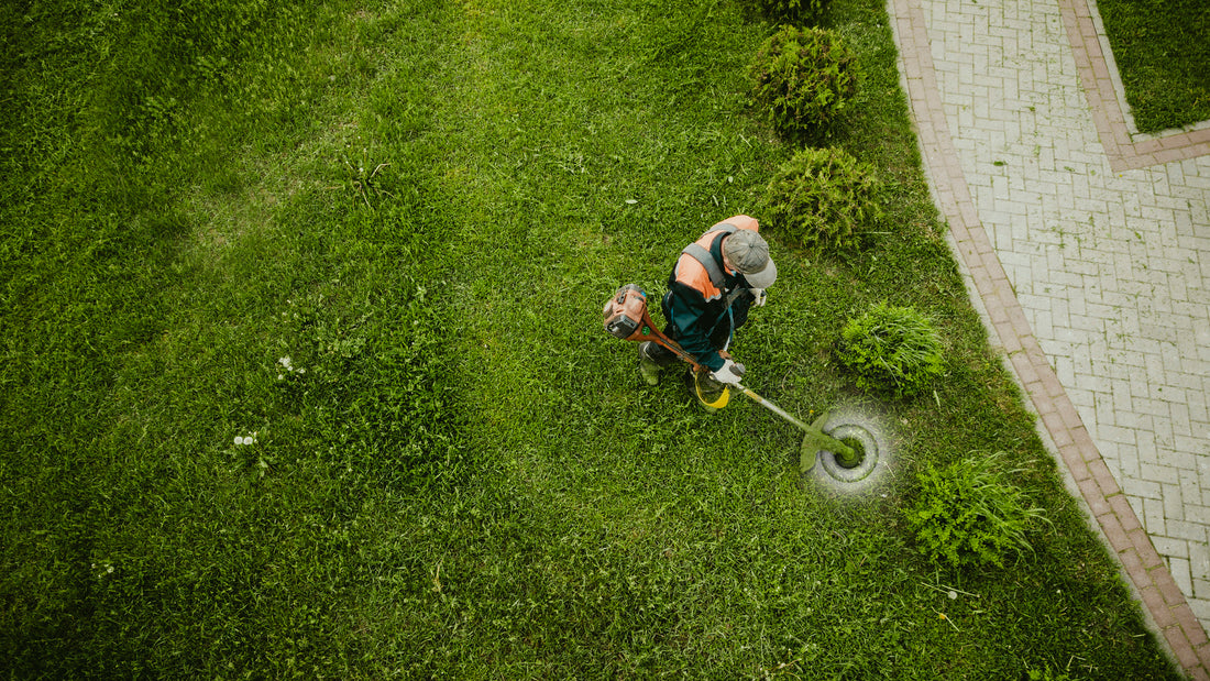 Top 10 Brush Cutters In India - Know Uses, Benefits, and Types