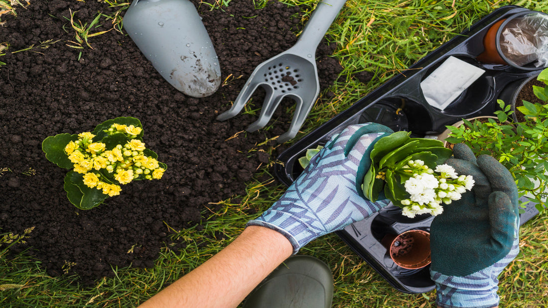 Top 10 Mosquito Repellent Plants