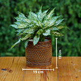 Ceramic Woven-Texture Planter/ Pot For Plants