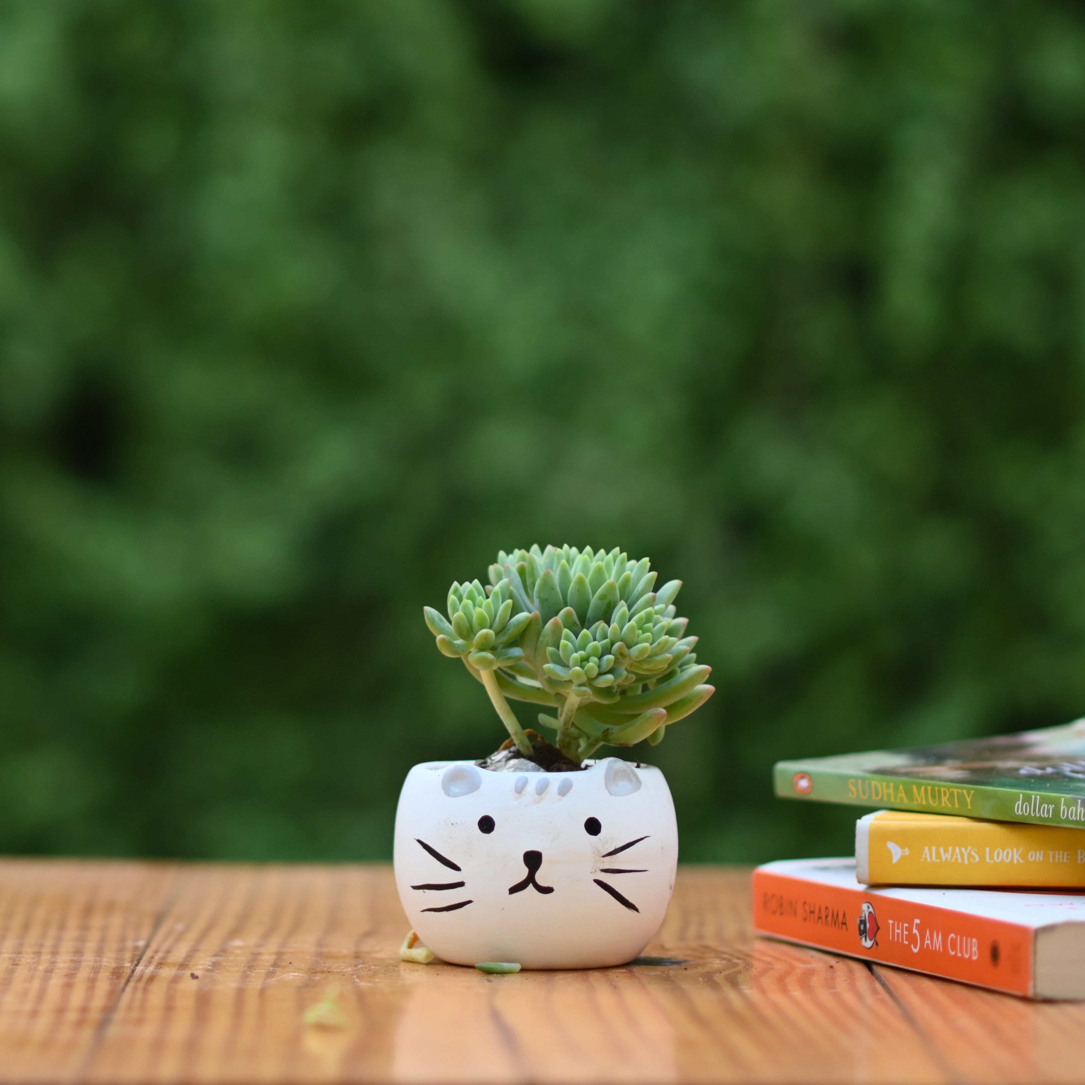 Ceramic Kitty Cat Pot/Planter