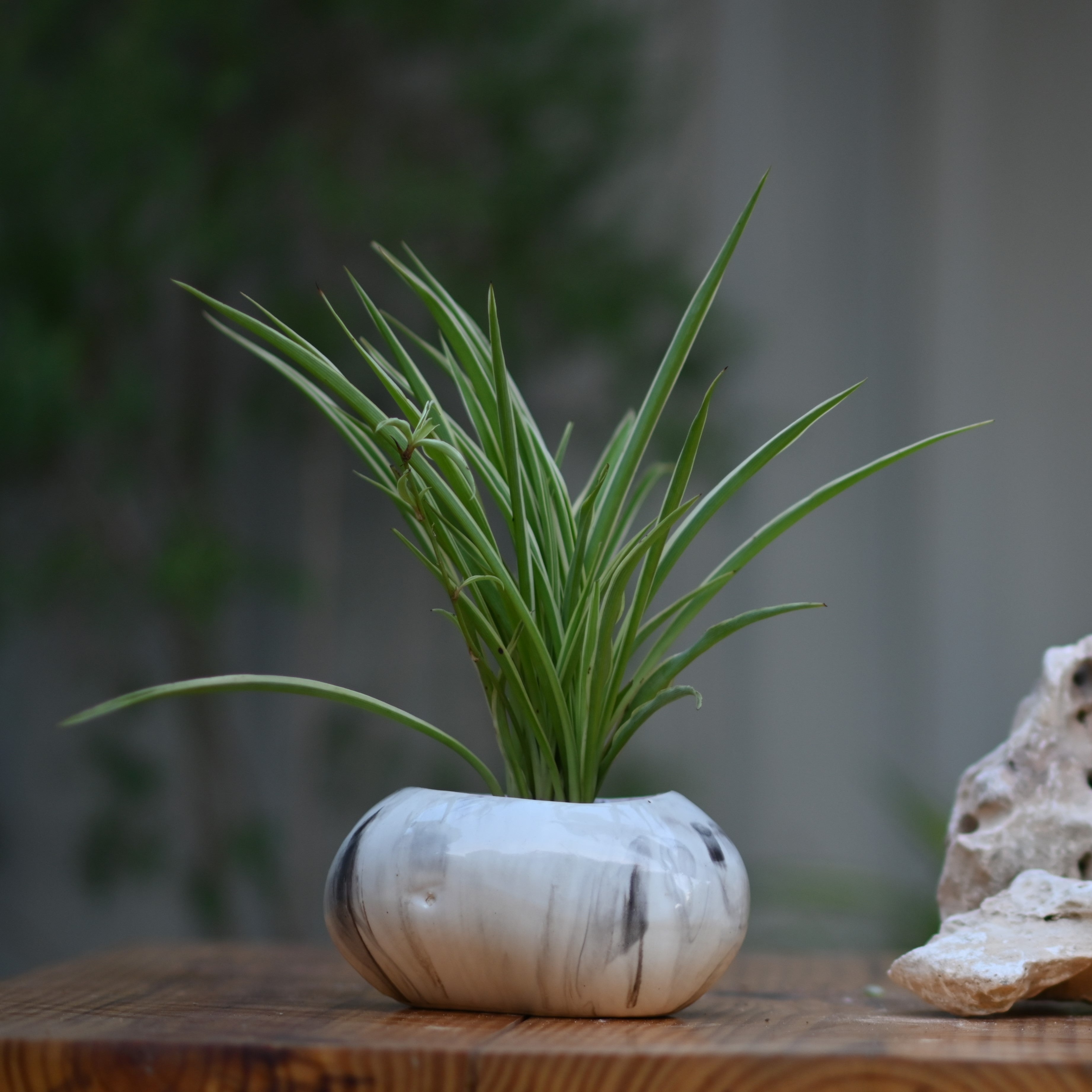 Ceramic Pebble Pot/Planter