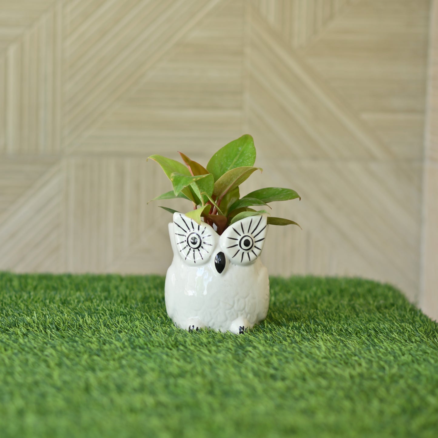 Ceramic owl Design Pot/ Planter