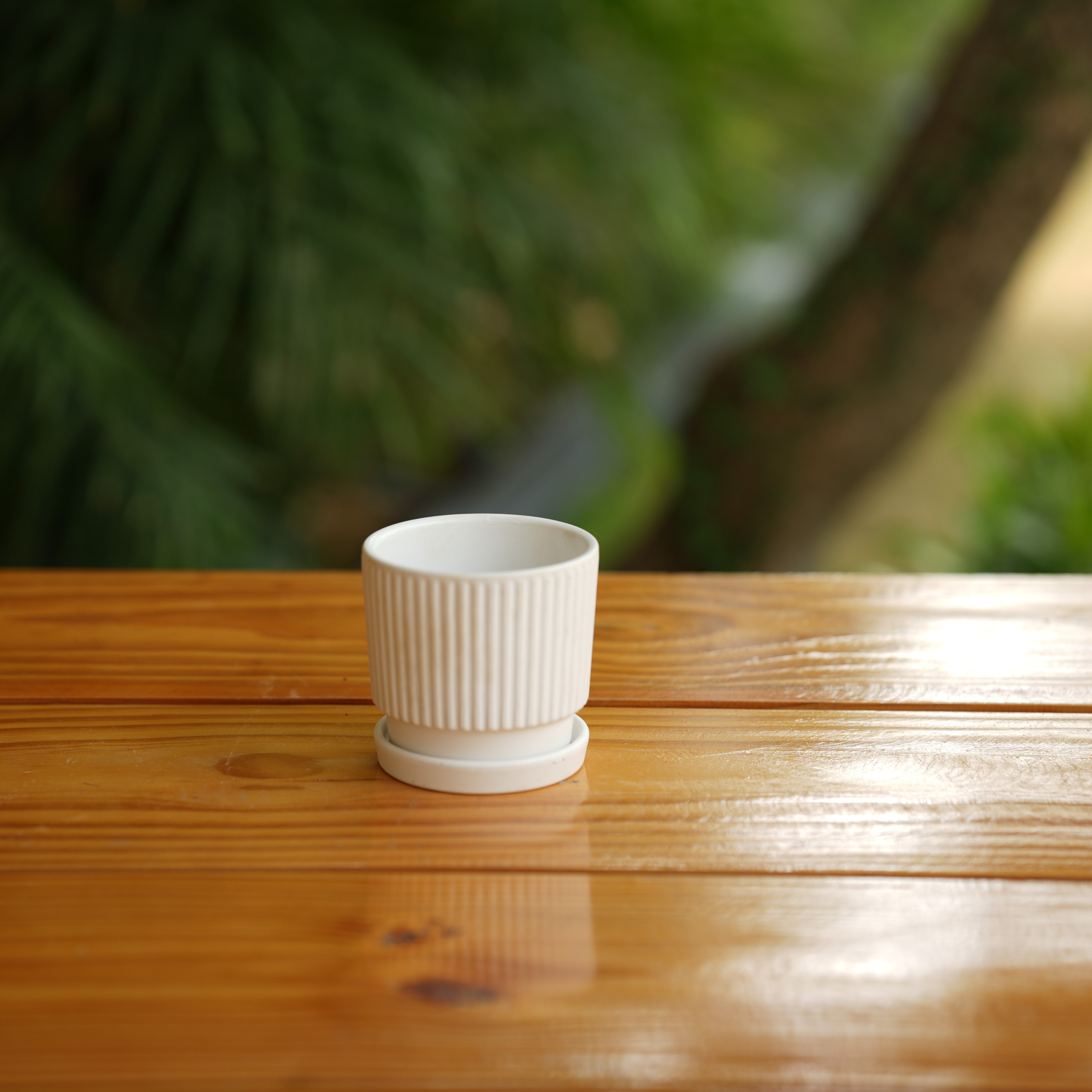 Round Shape Ribbed Ceramic Planter With Tray