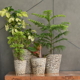 Rustic Ceramic Planter - Contemporary Planter