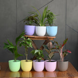 Plastic Verona 14 Pot/Planter- Set of 3