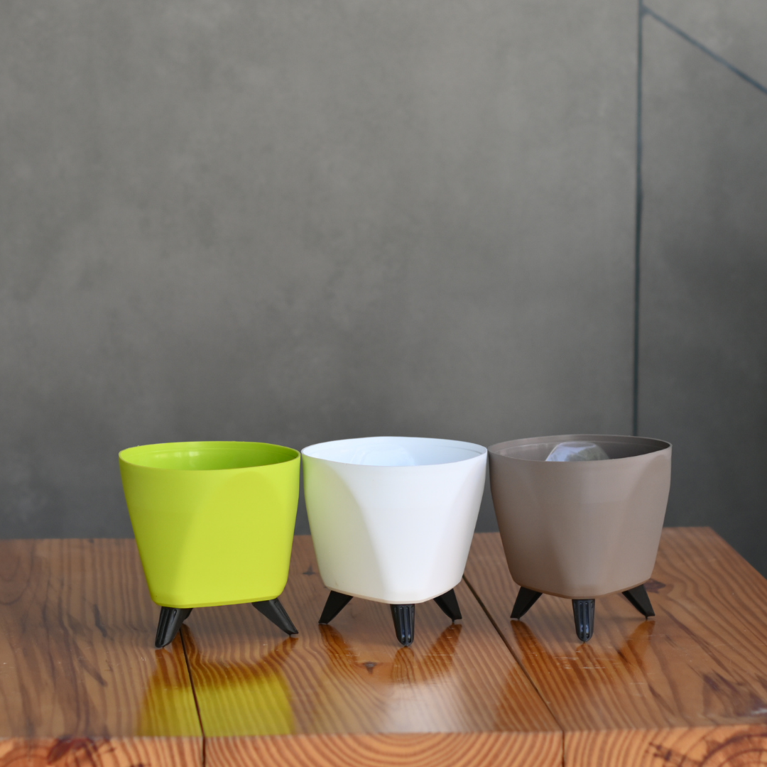 Plastic Lagos Pot/ Planter- Set Of 3