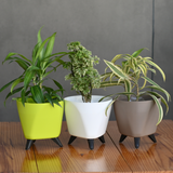 Plastic Lagos Pot/ Planter- Set Of 3