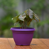 Plastic Bello Hb 16 Hanging Pot