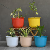 Plastic Omega Pot/Planter- Set of 3