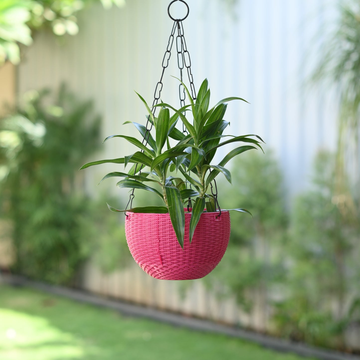 Plastic Rattan Hanging 7.6" Pot With Chain- Set of 4