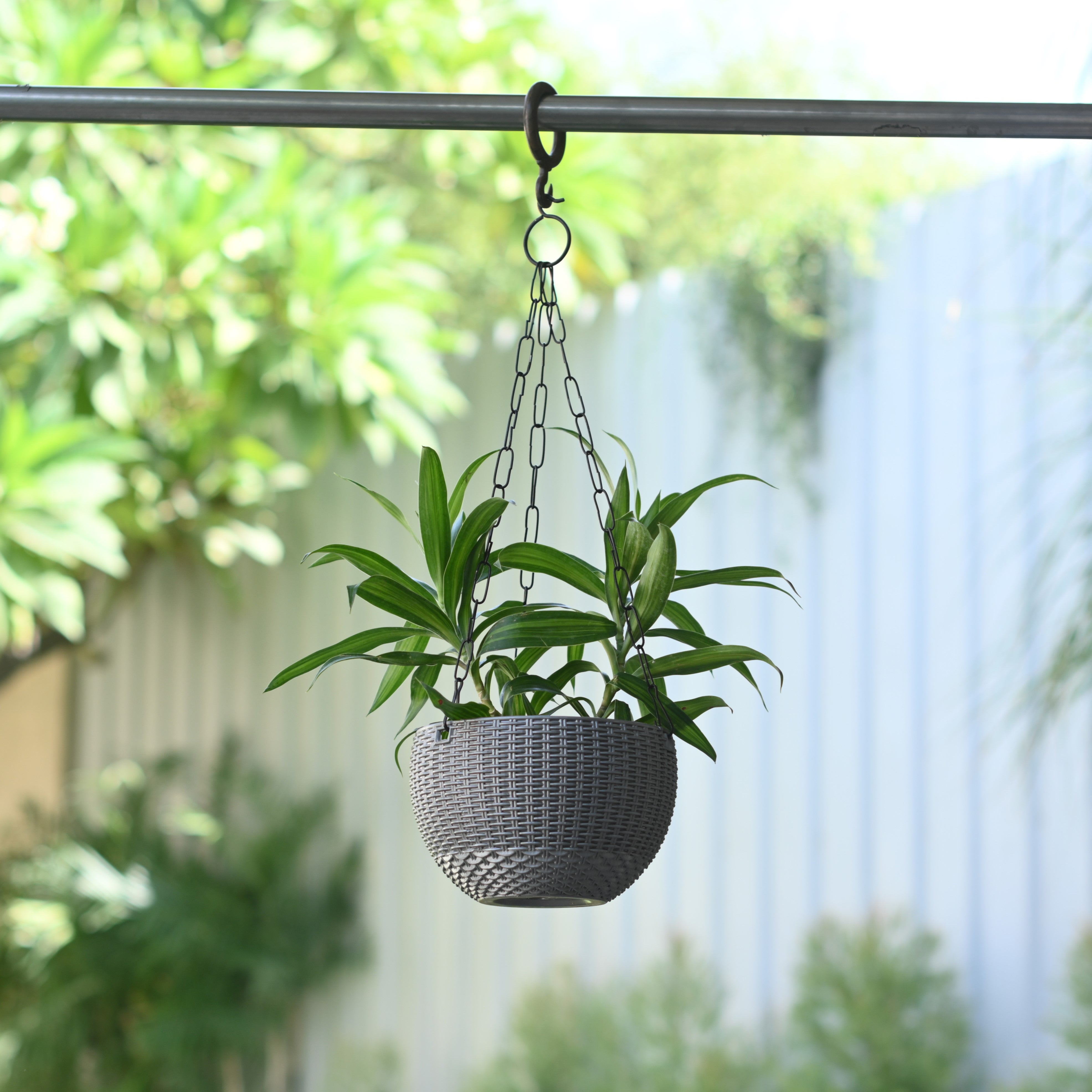 Plastic Rattan Hanging 7.6" Pot With Chain- Set of 4