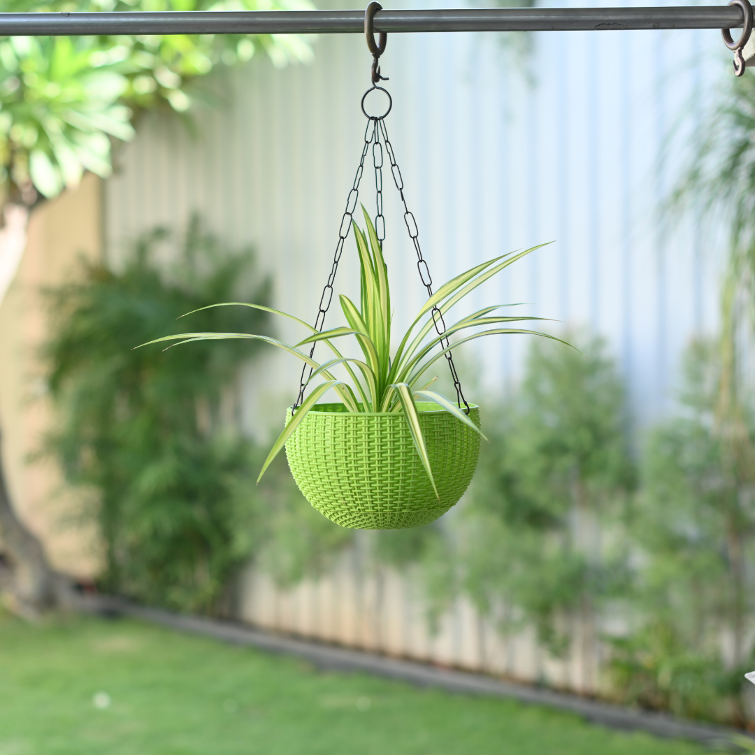 Plastic Rattan Hanging 8.1" Pot With Chain