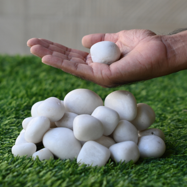 Decorative White Polished River Side Stone/Pebbles