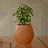 Handcrafted Terracotta Vase/Planter for Plant