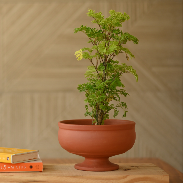 Handcrafted Terracotta Urli Pot for Plants