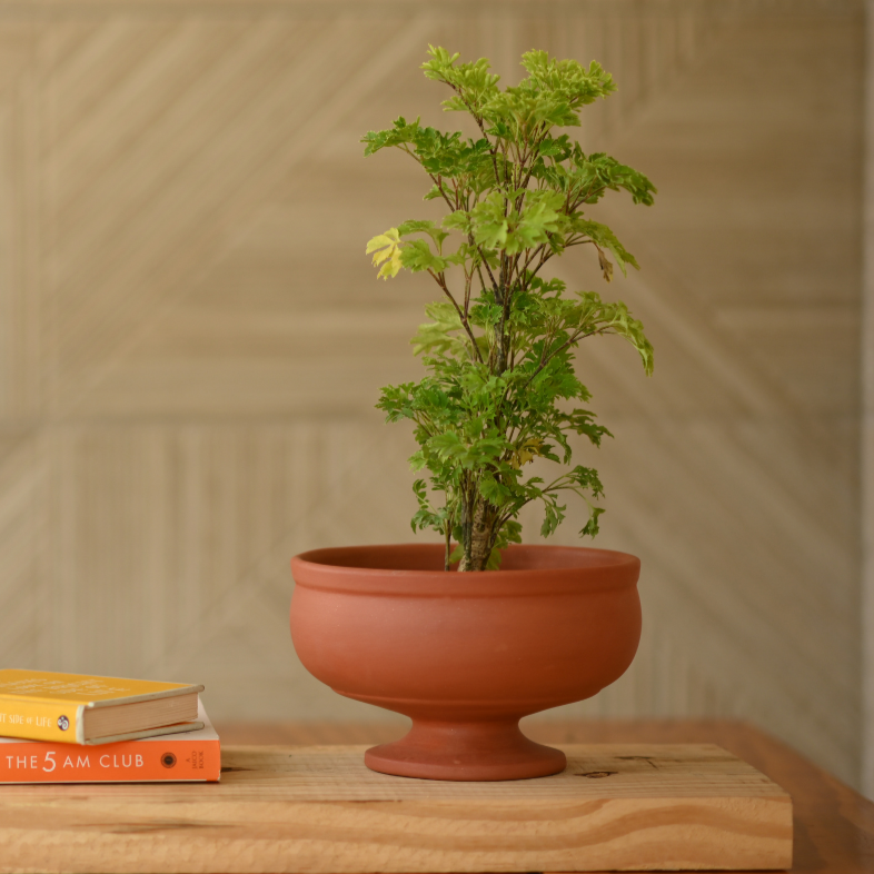 Handcrafted Terracotta Urli Pot for Plants