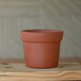 Terracotta Gamla/Vase Pot for Plants