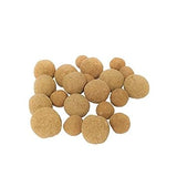 Neem, Vepa Ginjalu, Azadirachta indica Seed Balls- Pack of 40