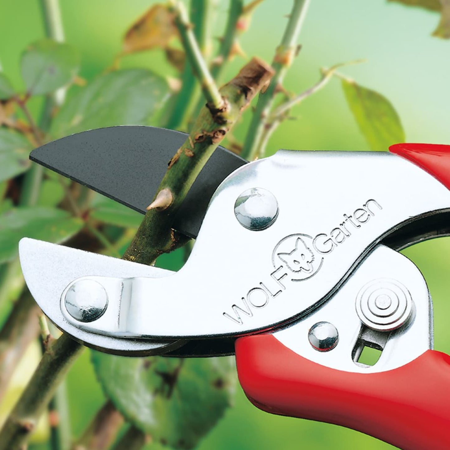 Wolf-Garten Anvil Secateurs (RS-EN) / Loppers