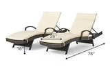 Swimming Poolside Lounger- Set of 2