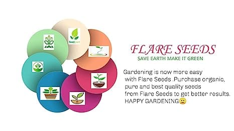 Flare Seeds Vegetable & Fruit Seed Combo Pack