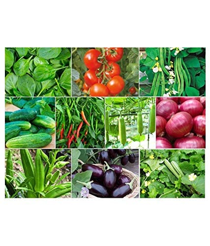 Flare Seeds 45 Varieties Vegetable 2500+ Organic Seeds