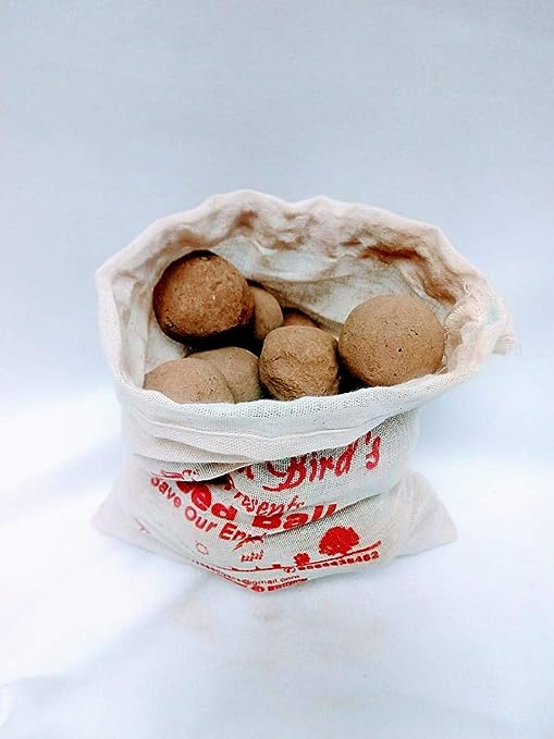 Ficus, Peepal, Arasamaram, Bodhi Satva Tree Seed Balls- Pack of 20