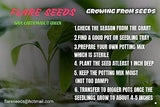 Flare Seeds Vegetable Seed Pack