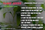 Flare Seeds 45 Varieties Vegetable 2550+ Seeds