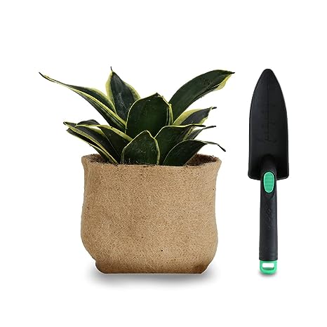 Jute Grow Bag & Hand Shovel Combo