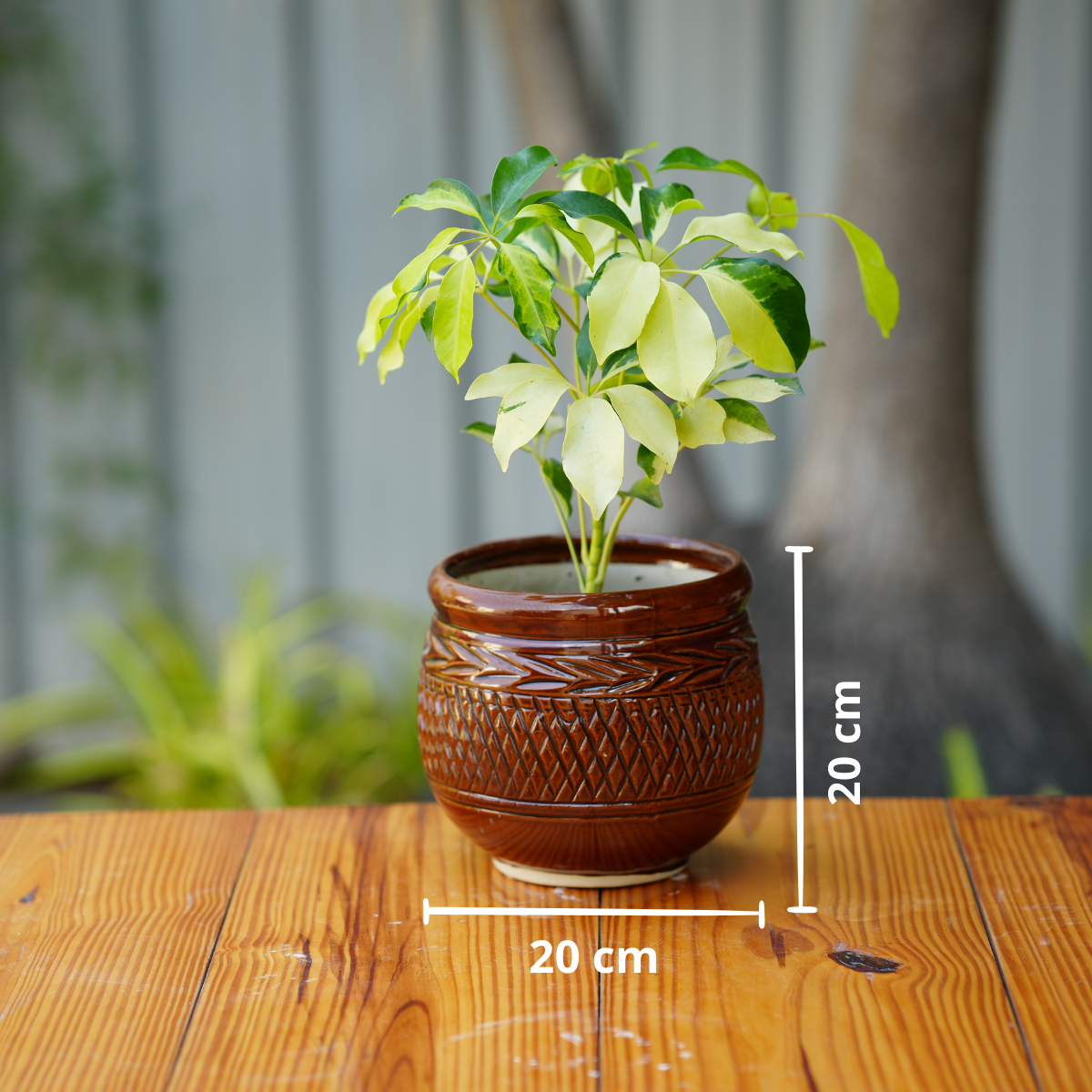 Ceramic Planter with Glossy Glazed Finish