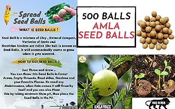 2 Slinghot (Gulel) With Seed Balls- Pack of 500