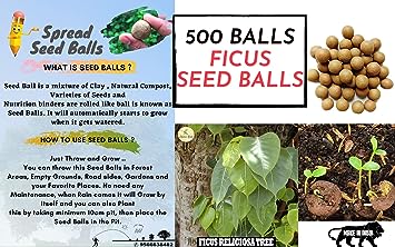 2 Slinghot (Gulel) With Seed Balls- Pack of 500