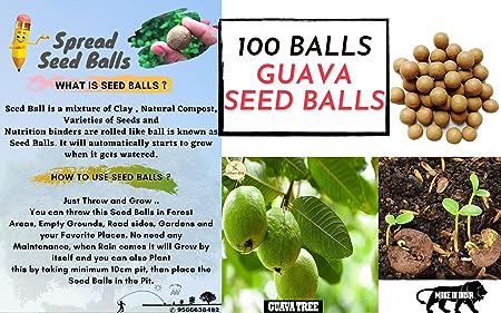 Slinghot (Gulel) With Seed Balls- Pack of 100