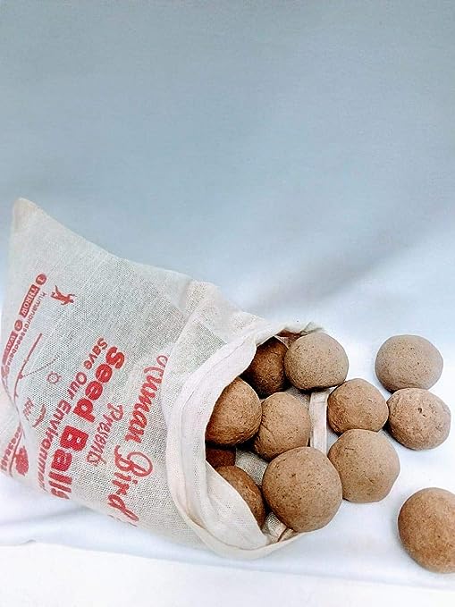 Ficus, Peepal, Arasamaram, Bodhi Satva Tree Seed Balls- Pack of 20