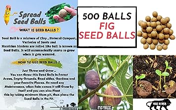 2 Slinghot (Gulel) With Seed Balls- Pack of 500