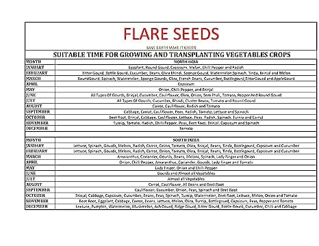 Flare Seeds Vegetable & Fruit Seed Combo Pack