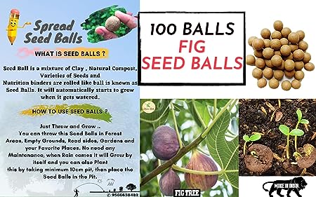 Slinghot (Gulel) With Seed Balls- Pack of 100