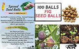 Slinghot (Gulel) With Seed Balls- Pack of 100