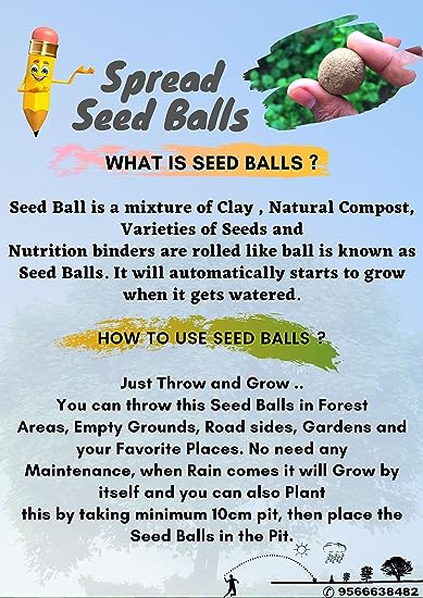 50 Set of Seed Balls Return Gift Pack