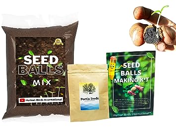 DIY Seed Balls Marker Kit