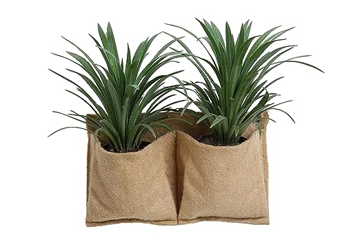 DIY Horizontal Gardening Grow Kit With Double Pocket jute Hanger, Sprayer & S-Hook