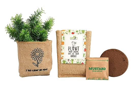 DIY Plant Grow Kit With 1 Seed Pack and Soil Cake