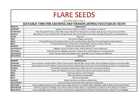 Flare Seeds Vegetable Seed Pack