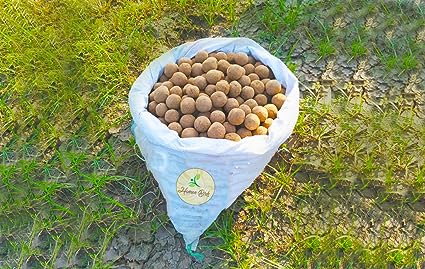 Banyan Seed Balls- Pack of 1000