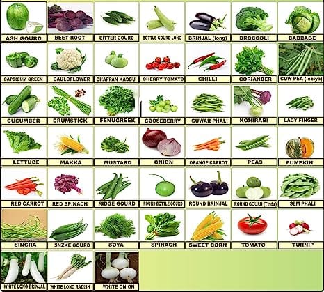 Flare Seeds 45 Varieties Vegetable 2550+ Seeds